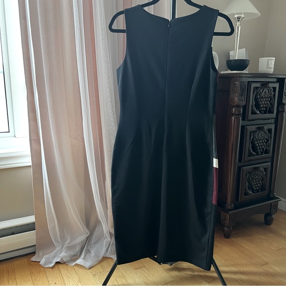 NWT Bodycon Dress in Burgundy, Ivory,  and Black Diagonal Stripe Pattern - Picture 2 of 4